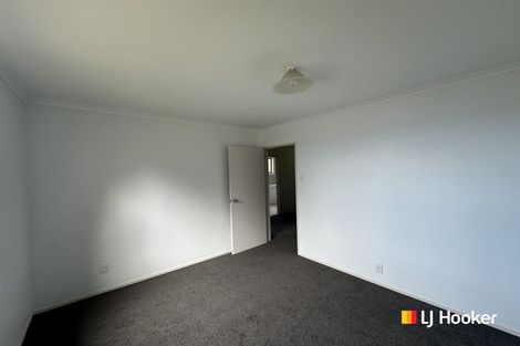 Photo of property in 3 Ballance Street, Caversham, Dunedin, 9011