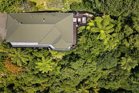 Photo of property in 19 Palm Grove, Belmont, Lower Hutt, 5010