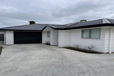 Photo of property in 50 Vogel Street, Roslyn, Palmerston North, 4414