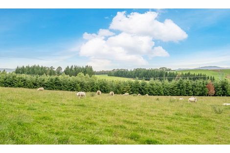 Photo of property in 453 Wilden School Road, Wilden, Tapanui, 9587