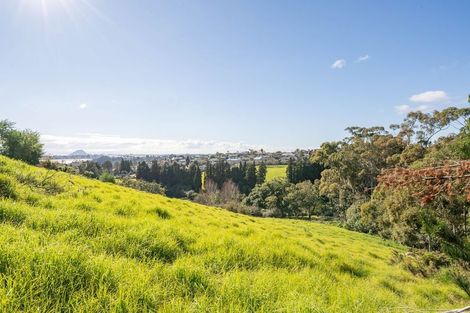 Photo of property in 99 Carmen Way, Ohauiti, 3112