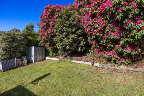 Photo of property in 56 Glenross Street, Glenross, Dunedin, 9011