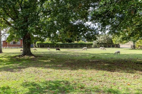 Photo of property in 192 Waotu Road, Putaruru, 3481