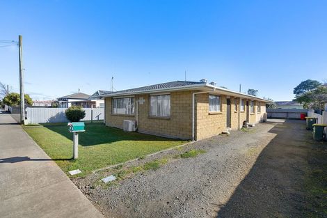 Photo of property in 1/4 Mckenzie Street, Levin, 5510