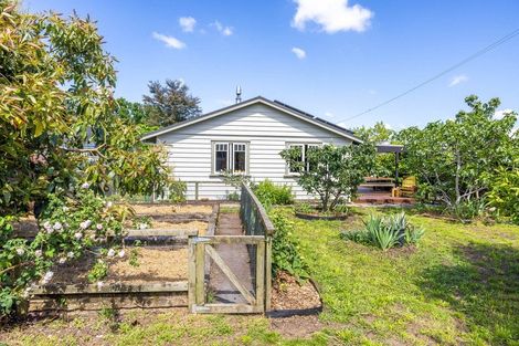 Photo of property in 174 Nixon Street, Hamilton East, Hamilton, 3216