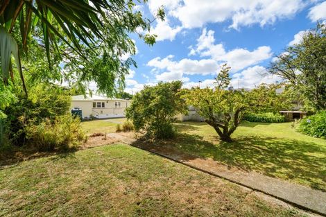 Photo of property in 87 Awahuri Road, Feilding, 4702