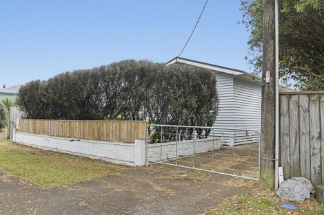 Photo of property in 102 Centennial Avenue, Waitara, 4320