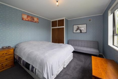 Photo of property in 29 Mitchell Place, Netherby, Ashburton, 7700