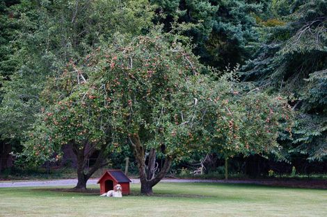Photo of property in 671 Inland Kaikoura Road, Inland Road, Kaikoura, 7373