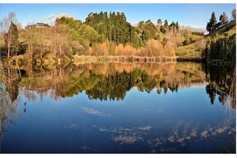 Photo of property in 135 Ballantyne Road, Poraiti, Napier, 4182