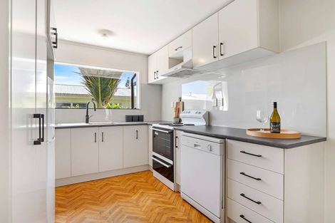 Photo of property in 102 Macfarlane Street, Hamilton East, Hamilton, 3216