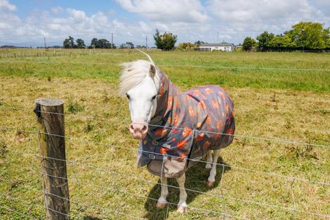 Photo of property in 208 Waitohi Road, Rongotea, Palmerston North, 4479