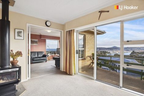 Photo of property in 24 Elliffe Place, Shiel Hill, Dunedin, 9013