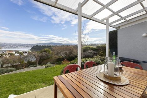 Photo of property in 17 Jeffery Street, Andersons Bay, Dunedin, 9013