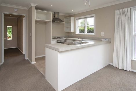 Photo of property in 38 Percy Street, Phillipstown, Christchurch, 8011