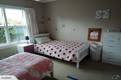 Photo of property in 207 Middle Road, Allenton, Ashburton, 7700