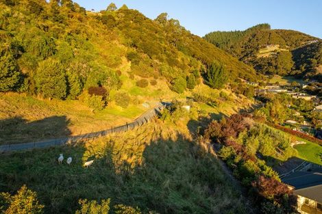 Photo of property in 31 Farleigh Street, Atawhai, Nelson, 7010