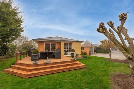 Photo of property in 5 Williamson Place, Geraldine, 7930