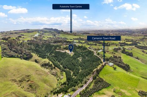 Photo of property in 80 Cameron Town Road, Pukekohe, 2678