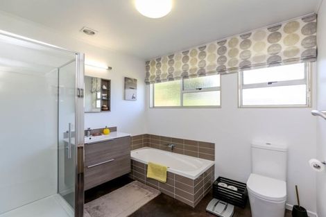 Photo of property in 16a Puni Street, Fitzroy, New Plymouth, 4312