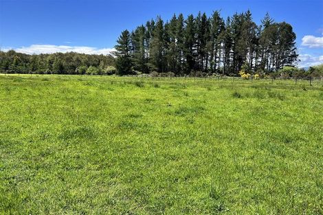 Photo of property in 8 Moonlight Road, Atarau, Blackball, 7871