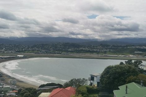 Photo of property in 133 Hornsey Road, Melrose, Wellington, 6023