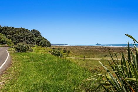 Photo of property in 233 Ohiwa Beach Road, Waiotahe, Opotiki, 3198