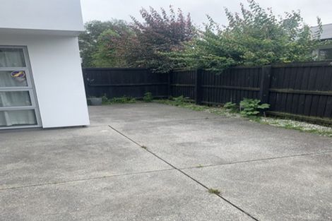 Photo of property in 25a Champion Street, Edgeware, Christchurch, 8013