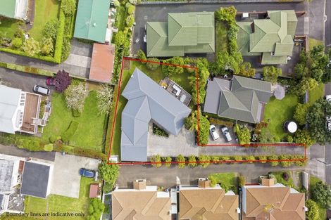 Photo of property in 14b Karetu Road, Greenlane, Auckland, 1051