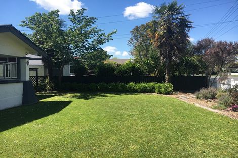 Photo of property in 109 Albert Street, Hamilton East, Hamilton, 3216