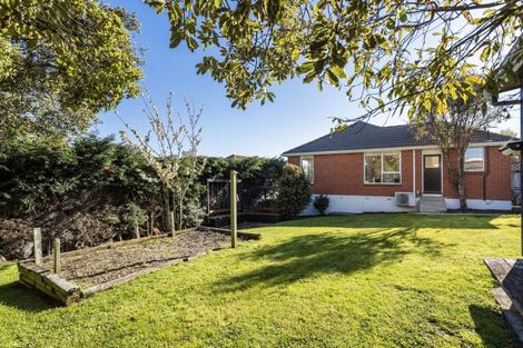 Photo of property in 8 Eastbank Street, Waverley, Dunedin, 9013
