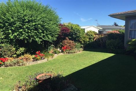 Photo of property in 48 Guppy Road, Greenmeadows, Napier, 4112