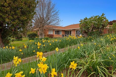 Photo of property in 304 Woodlands Road, Otara, Opotiki, 3198