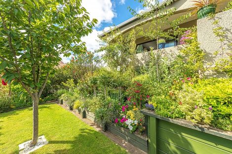 Photo of property in 56a Plymouth Street, Whanganui, 4500