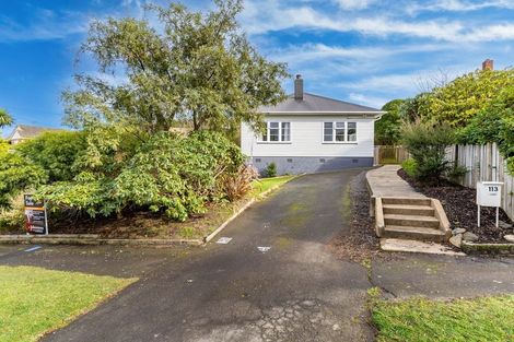 Photo of property in 113 Chapman Street, Wakari, Dunedin, 9010