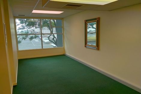 Photo of property in 8a Madeira Lane, Grafton, Auckland, 1023
