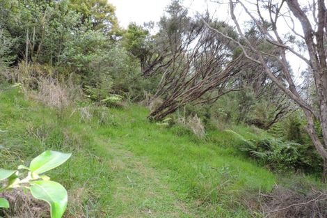 Photo of property in 606 Thames Coast Sh25 Road, Waiomu, Thames, 3575