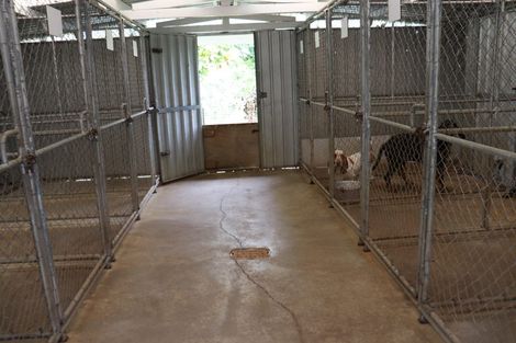 Photo of property in 280 Dixon Road, Te Akau, Ngaruawahia, 3794