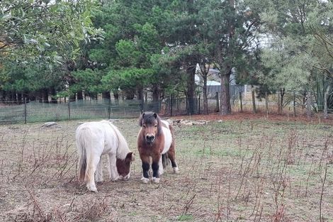 Photo of property in 38 Millard Avenue, Kuripuni, Masterton, 5810