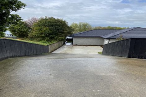 Photo of property in 99a Tuhikaramea Road, Dinsdale, Hamilton, 3204