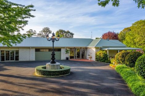 Photo of property in 16 Plane Tree Lane, Tauriko, Tauranga, 3110