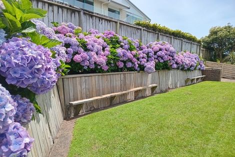 Photo of property in 8 Julian Place, Westown, New Plymouth, 4310