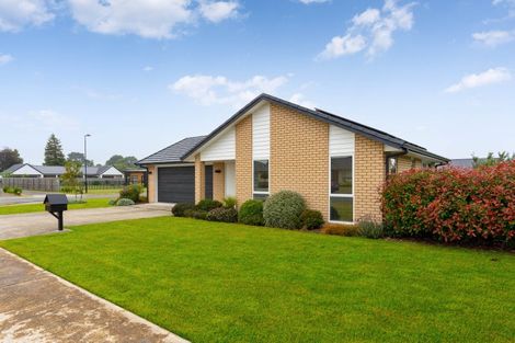 Photo of property in 1 Fantail Avenue, Carterton, 5713