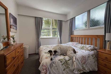 Photo of property in 7 Maori Hut Road, Red Beach, 0932