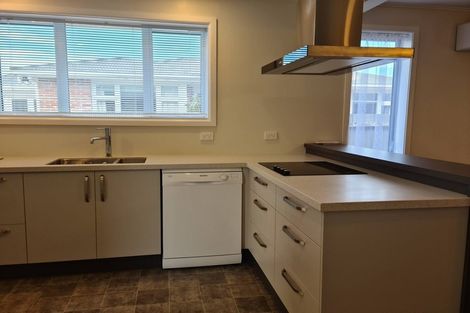 Photo of property in 30 Hope Street, Shirley, Christchurch, 8013