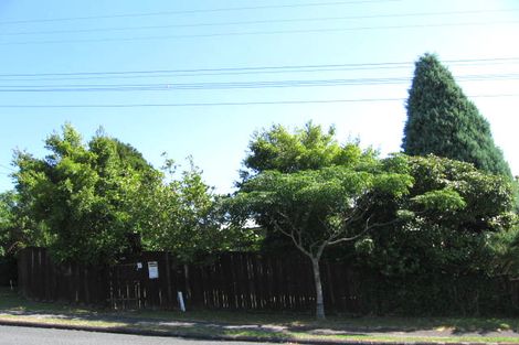 Photo of property in 22 Blease Street, New Lynn, Auckland, 0600