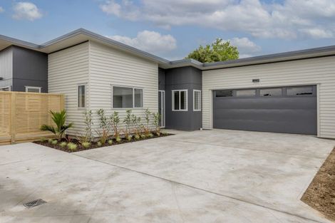 Photo of property in 52a Mako Mako Road, Levin, 5510