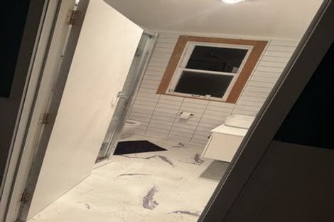 Photo of property in 16 Saint Winifreds Avenue, Hamilton East, Hamilton, 3216