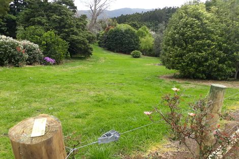 Photo of property in 384 Tara Road, Mangawhai, Kaiwaka, 0573