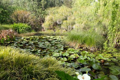 Photo of property in 384 Tara Road, Mangawhai, Kaiwaka, 0573